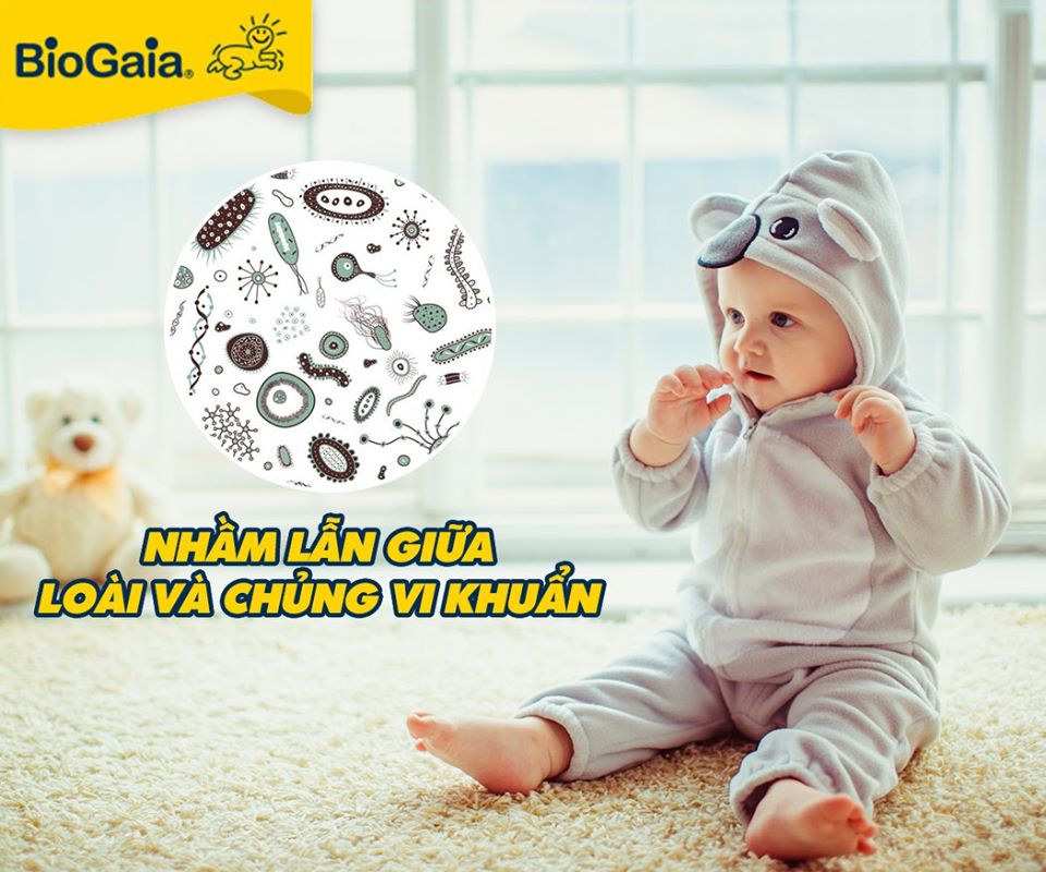 Nhầm lẫn giữa chủng và loài vi khuẩn