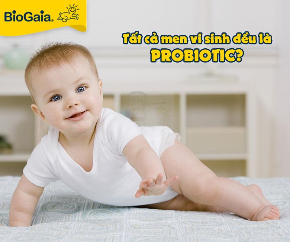Tất cả men vi sinh đều là Probiotic
