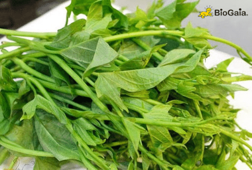 Trẻ táo bón nên ăn rau gì -3