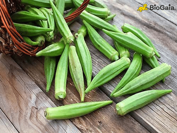 Trẻ táo bón nên ăn rau gì -7