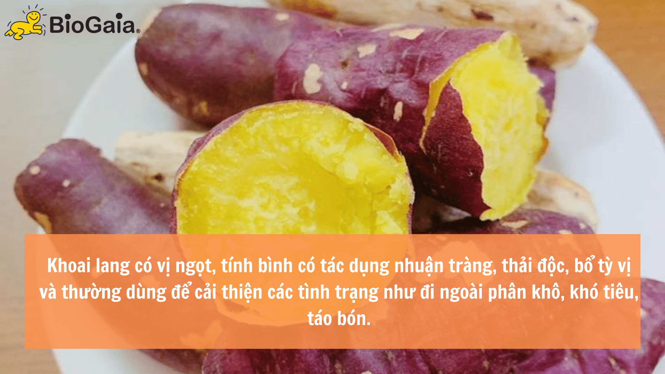 Trẻ táo bón nên ăn gì để tốt cho hệ tiêu hóa - 2