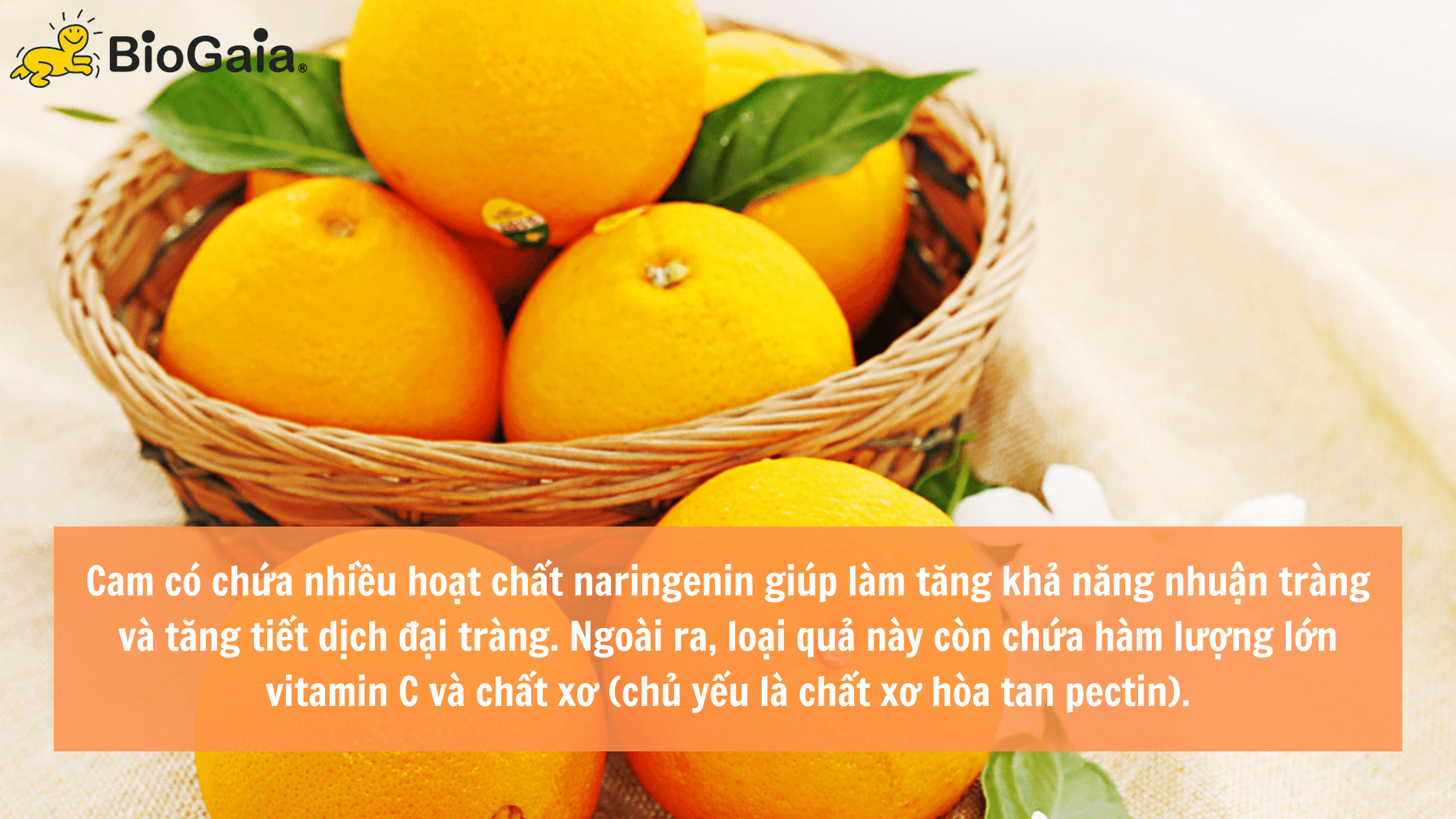 Trẻ táo bón nên ăn gì để tốt cho hệ tiêu hóa - 6