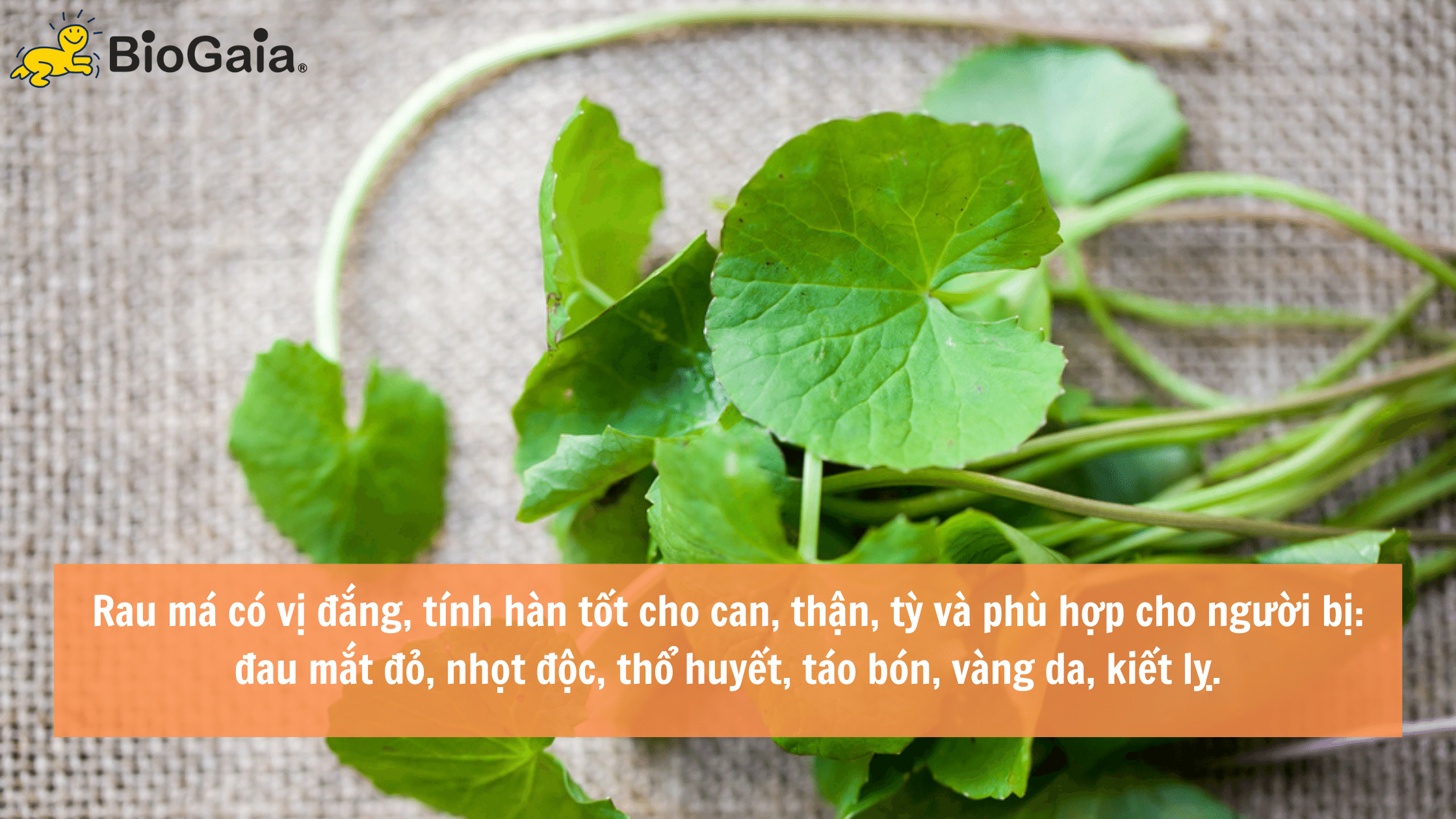 Trẻ táo bón nên ăn gì để tốt cho hệ tiêu hóa - 7